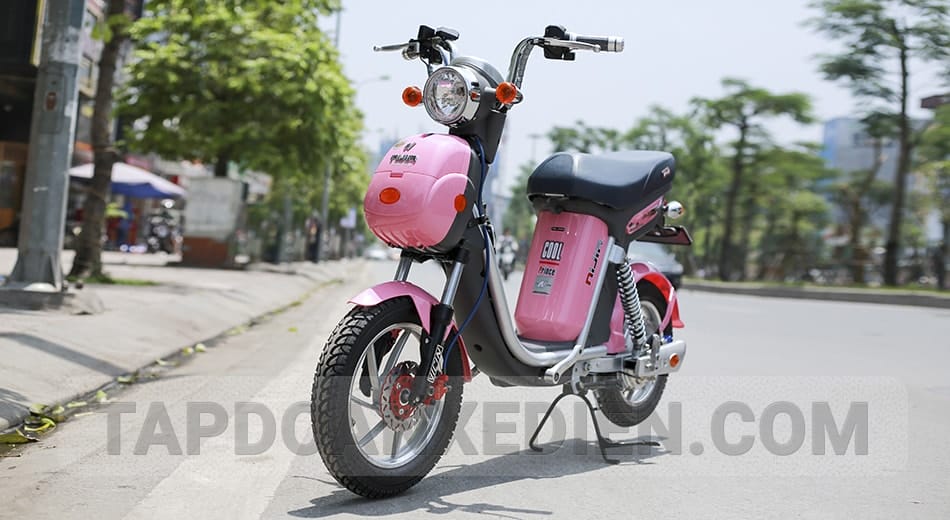 xe đạp điện Nijia 20Ah 2017