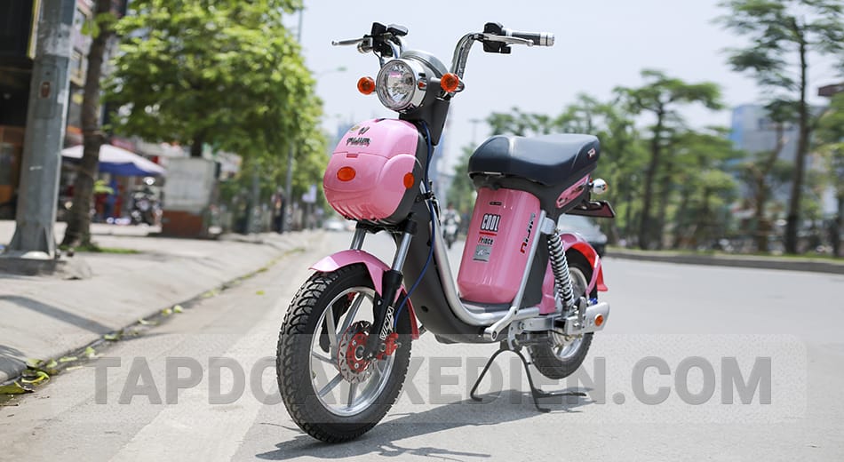 xe đạp điện Nijia 20Ah 2017