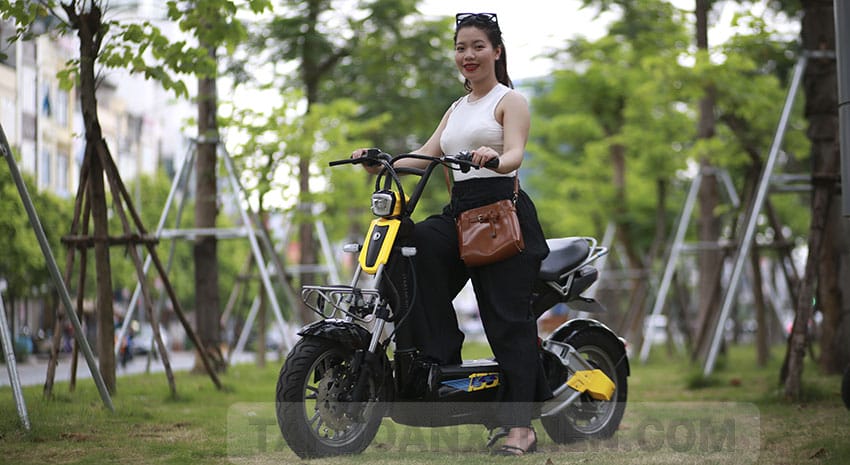 xe m&aacute;y điện Giant M133DS