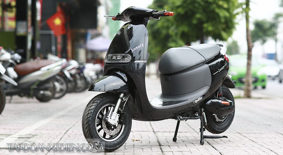 xe m&aacute;y điện Gogo Zip