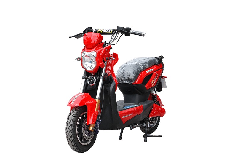 XE MÁY ĐIỆN ZOOMER S141