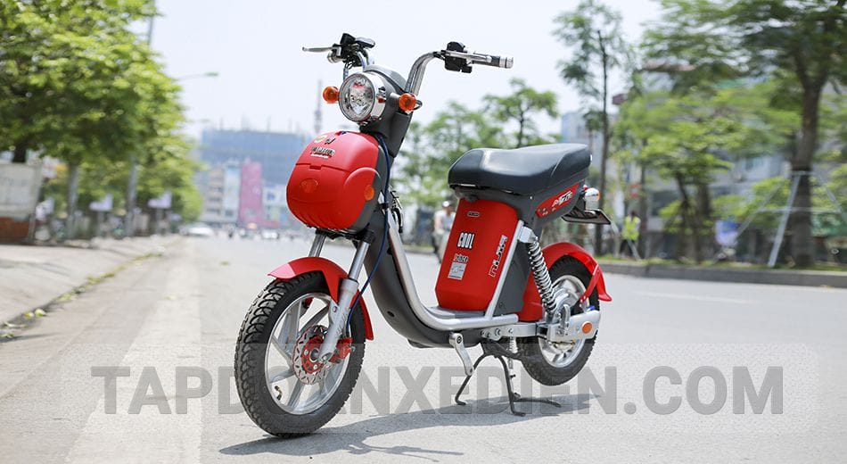 XE ĐẠP ĐIỆN NIJIA 20AH 2019