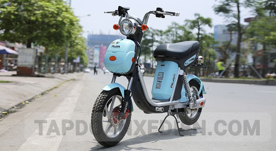 XE ĐẠP ĐIỆN NIJIA 20AH 2019