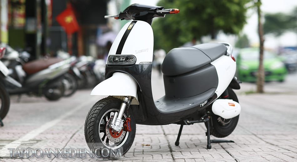 XE MÁY ĐIỆN GOGO ZIP