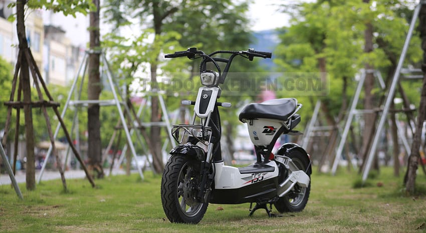 XE MÁY ĐIỆN GIANT M133DS