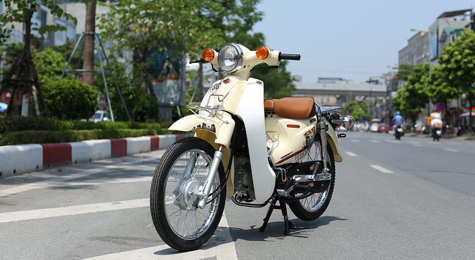 CUB 81 INDO cổ điển trang trọng